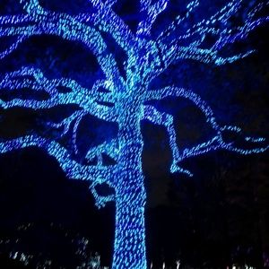 Meet your Posher, Angels